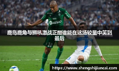 鹿岛鹿角与狮吼激战正酣谁能在这场较量中笑到最后