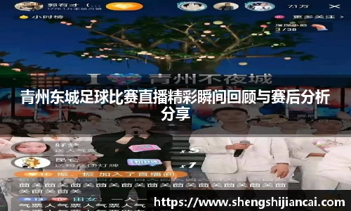 青州东城足球比赛直播精彩瞬间回顾与赛后分析分享